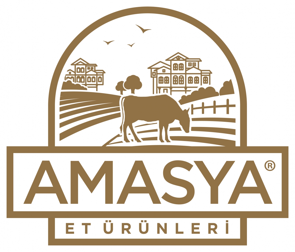 AMASYA ET ÜRÜNLERİ